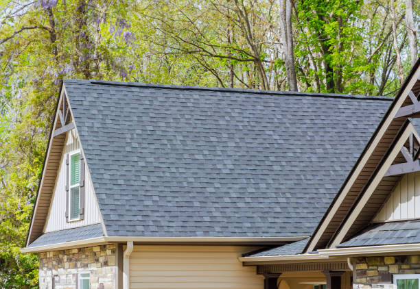 Professional Roofing Services in North Hudson, WI